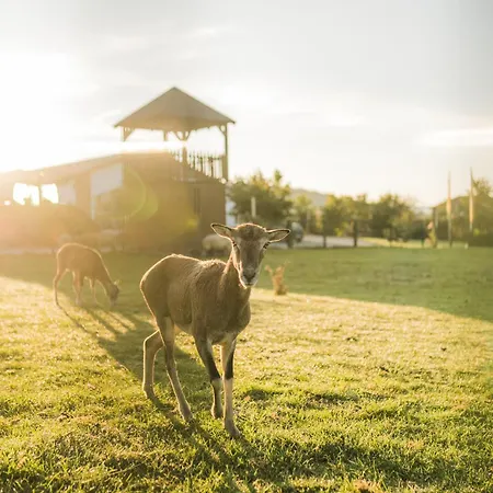 Prázdninový dům Hof Koehne - Haus Am Berg 4er *