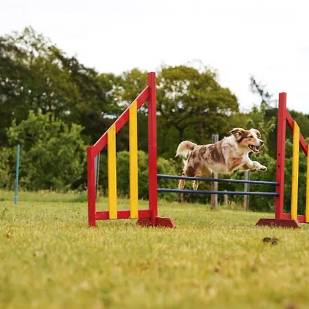Vakantiehuis Hof Koehne - Haus Am Berg 4er Schmallenberg