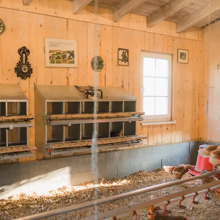 Prázdninový dům Hof Koehne - Haus Am Berg 4er Schmallenberg