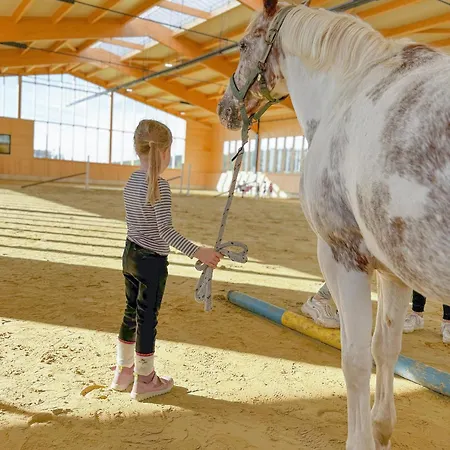 Hof Koehne - Haus Am Berg 4er Schmallenberg