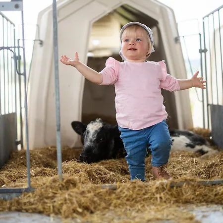 Prázdninový dům Hof Koehne - Haus Am Berg 4er Schmallenberg