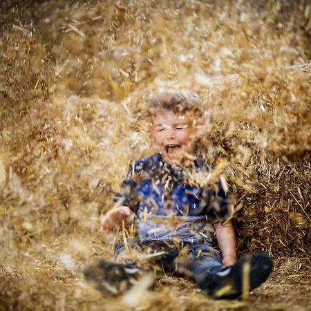 Hof Koehne - Haus Am Berg 4er Schmallenberg