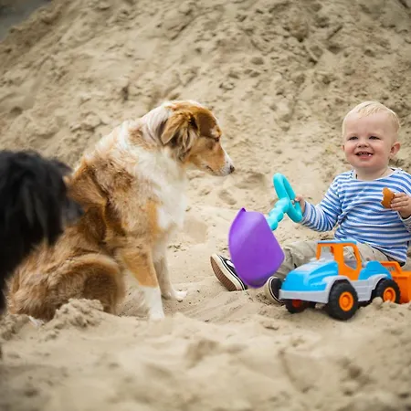 Hof Koehne - Haus Am Berg 4er * Schmallenberg