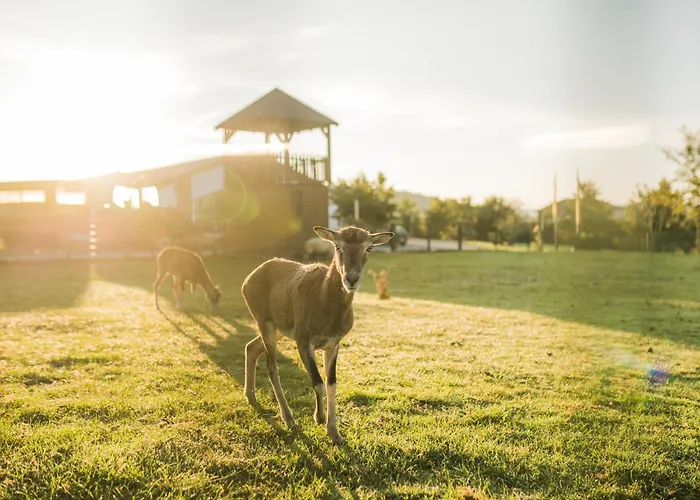 Сasa de vacaciones Hof Koehne - Haus Am Berg 4er *