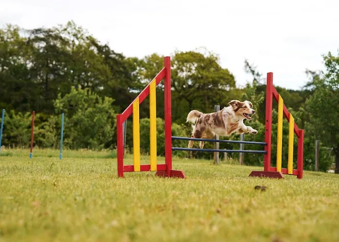 Сasa de vacaciones Hof Koehne - Haus Am Berg 4er Schmallenberg
