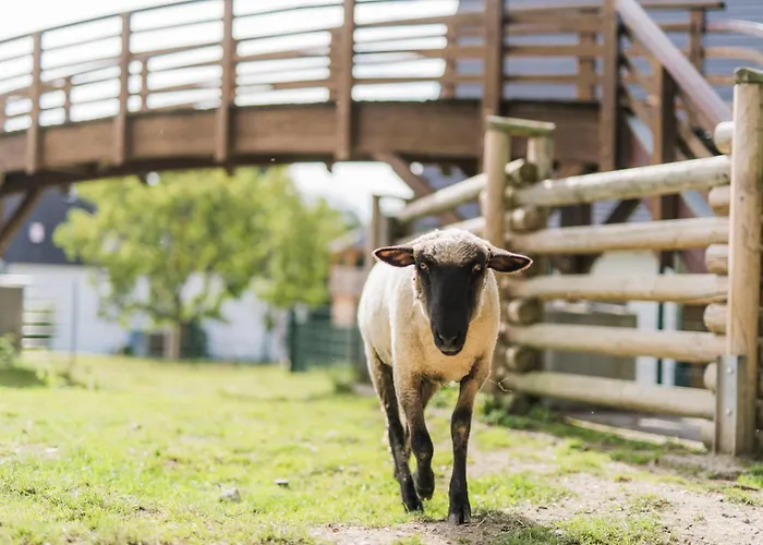 Сasa de vacaciones Hof Koehne - Haus Am Berg 4er *